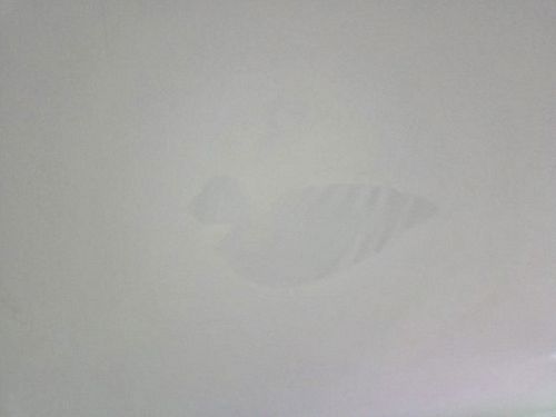 대전 서구 누수탐지 변동 누수탐지 아랫집물샘 잡는 순서와 놓치기 쉬운 곳