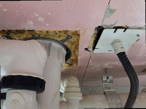 대전 서구 누수탐지 가스탐지기와 청음탐지기를 활용하는 누수 점검 현장