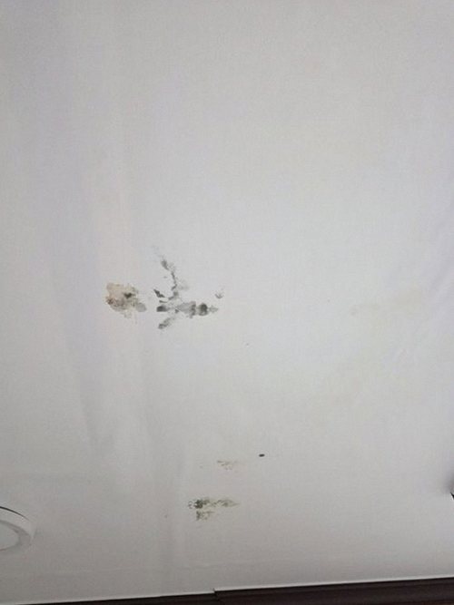 영등포구 누수탐지 벽지 물맺힘 부위의 얼룩 형태를 확인하는 장면