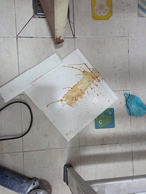 영등포구 대림동 누수탐지 배관검사비용 당일 안에 끝내는 탐지 순서