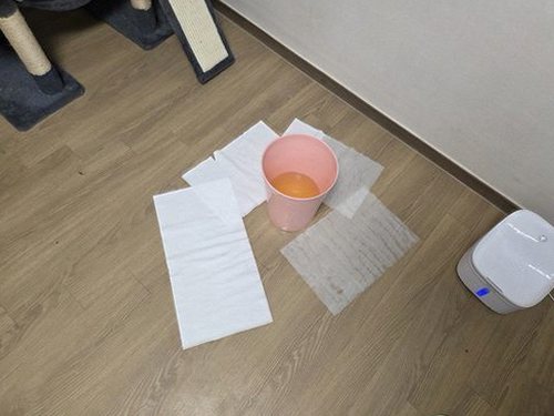 수영구 출동 접수