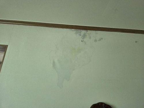 부산 남구 누수탐지 용호동 누수탐지 아파트 거실 누수 직접 해보니 달랐던 점